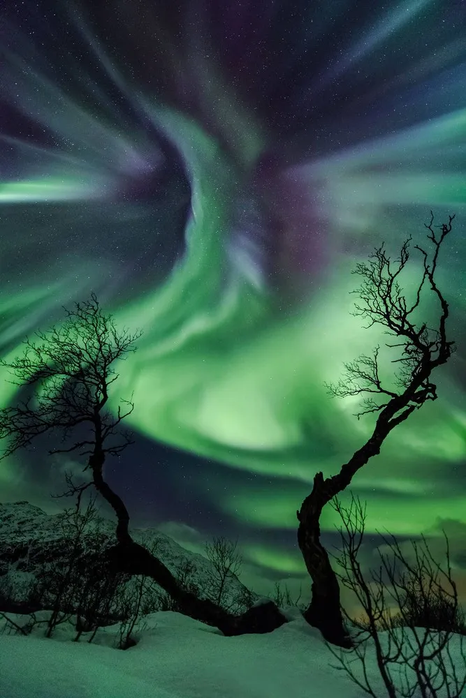 Astronomy Photographer of the Year 2014 Shortlist