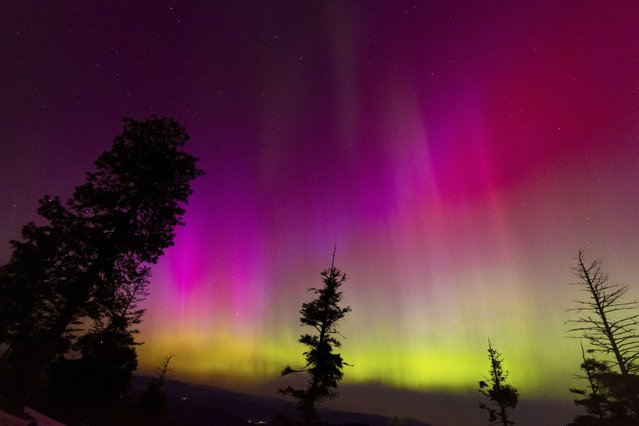 The Northern lights fill the sky at the Bogus Basin ski resort on Saturday, May 11, 2024 in Boise, Idaho. (Photo by Kyle Green/AP Photo)