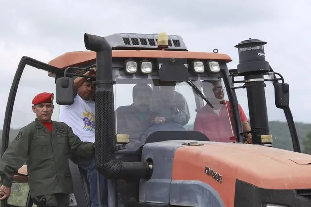 Venezuela's President Nicolas Maduro (C) drives a tractor, during his visit to a corn plantation in the state of Cojedes, in this handout picture provided by Miraflores Palace on August 12, 2015. (Photo by Miraflores Palace/Reuters)