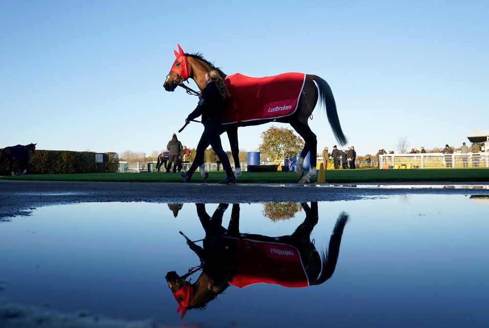 Sport last Week, Part 2/2