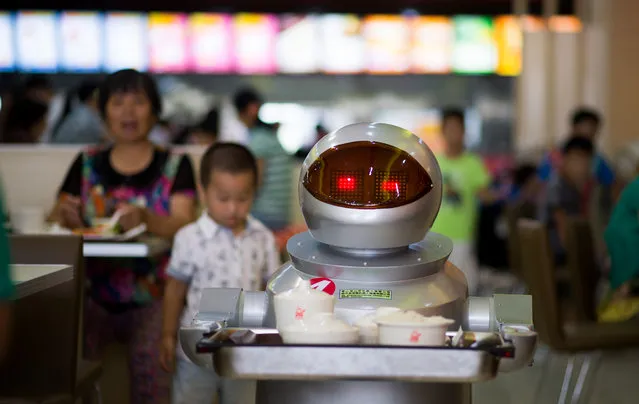 This photo taken on August 13, 2014,  shows a robot, carrying  food to the customers in the robot restaurant in Kunshan. (Photo by Johannes Eisele/AFP Photo)