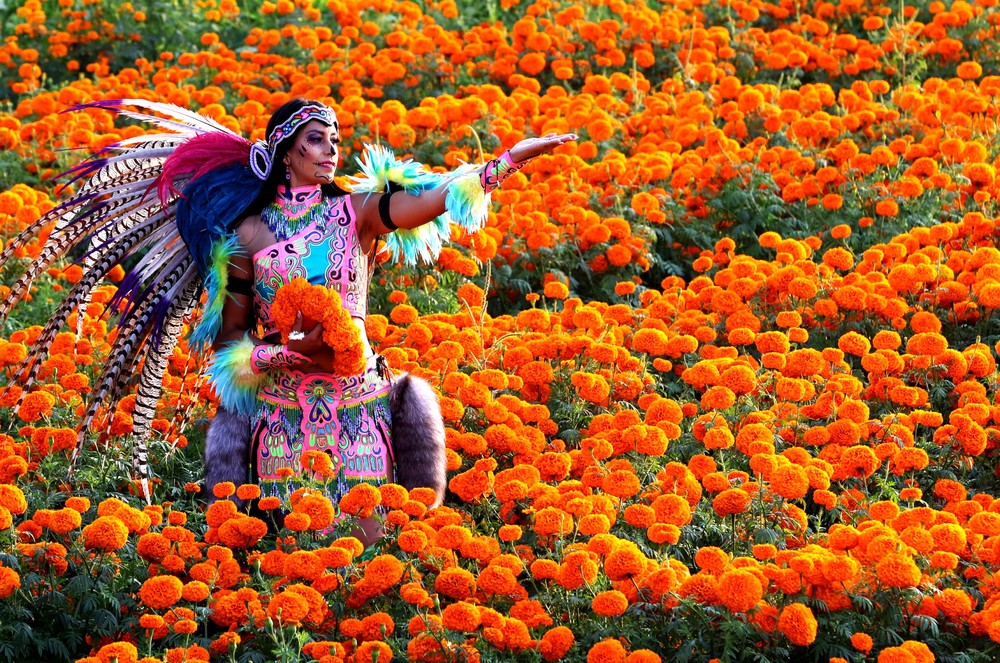 Pictures of the Year 2023, Part 195/224