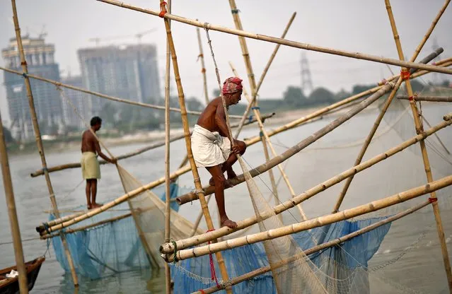Fishermen catch fish in the waters of the Yamuna river in New Delhi, India, August 28, 2015. (Photo by Anindito Mukherjee/Reuters)