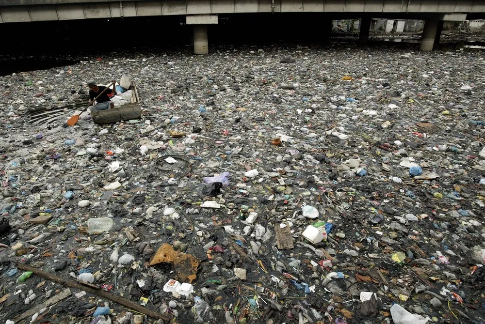 Pictures of Recent Events [End of October 2012]