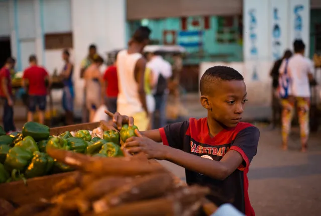 Anet Arley, Abad Alfonso sells produce in the Old Havana Neighborhood. (Photo by Sarah L. Voisin/The Washington Post)