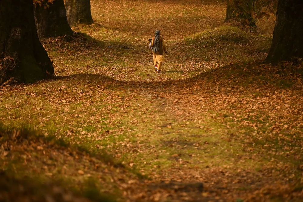 The Day in Photos – November 3, 2022