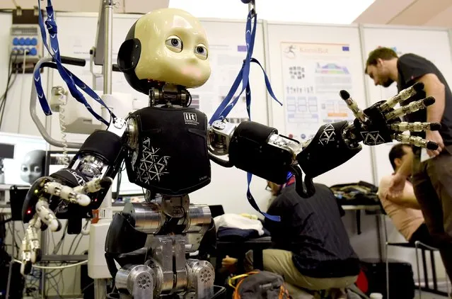 An iCub robot made by the Italian Institute of Technology is pictured at the scientists congress IROS 2015 in Hamburg, Germany October 2, 2015. (Photo by Fabian Bimmer/Reuters)