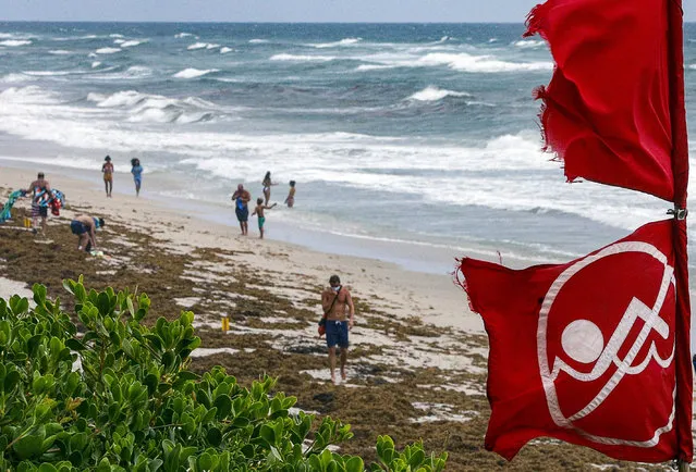Red no swimming flags fly at Lantana, Fla., Municipal Beach, Fla., as Hurricane Isaias approaches the Florida coast Saturday, August 1, 2020. Isaias snapped trees and knocked out power as it blew through the Bahamas on Saturday and churned toward the Florida coast, where it is threatening to complicate efforts to contain the coronavirus in a hot spot. (Photo by Damon Higgins/The Palm Beach Post via AP Photo)