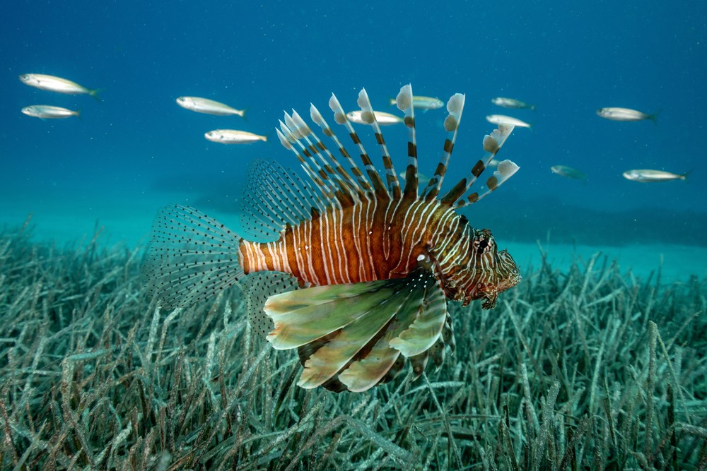 Some Photos: Waterworld