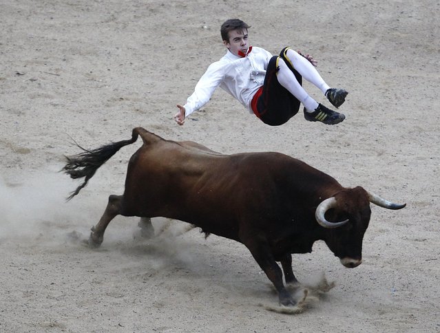 A Spanish recortador jumps over a bull during a show in Cali December 21, 2014. (Photo by Jaime Saldarriaga/Reuters)