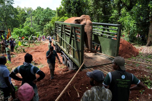 People load a wild elephant into a truck before relocating it to Horowpathana Elephant Holding Ground, in Naula, Sri Lanka on June 27, 2025. (Photo by Thilina Kaluthotage/Reuters)