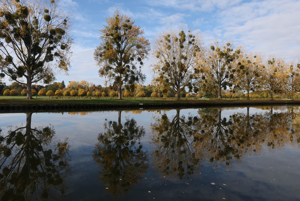 Some Photos: Reflection