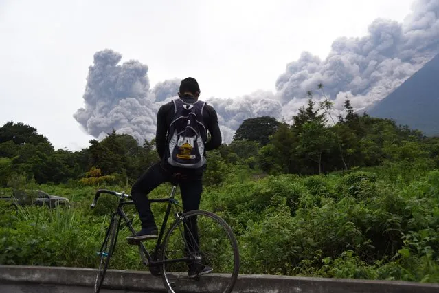 A man looks at the Fuego Volcano in eruption, from Alotenango municipality, Sacatepequez department, about 65 km southwest of Guatemala City, on June 3, 2018. (Photo by Orlando Estrada/AFP Photo)