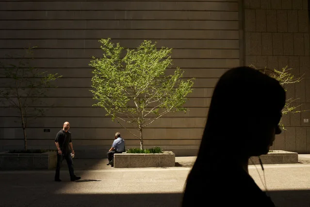 “Untitled”. Sun light illuminates a a tree in downtown San Francisco. (Photo and caption by Adam Cade/National Geographic Traveler Photo Contest)