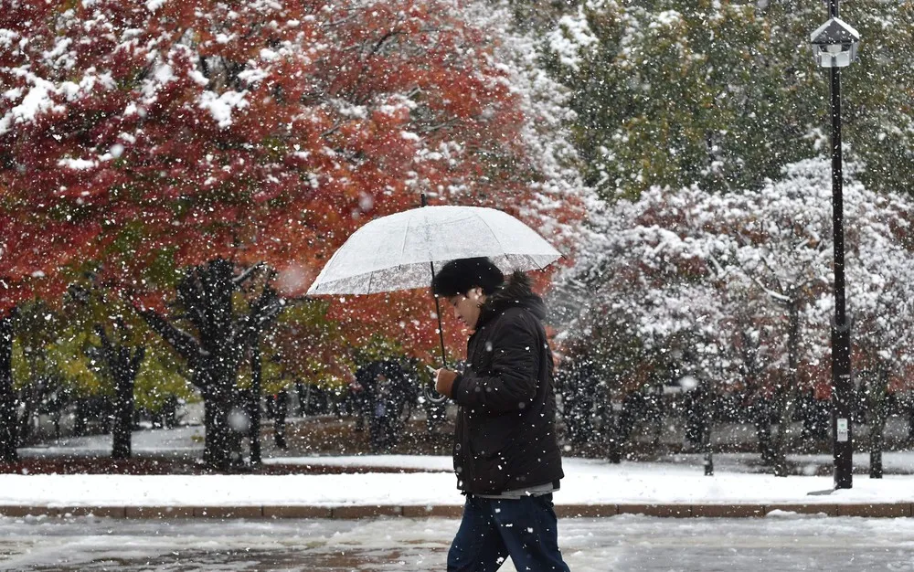 Snowfall in Japan