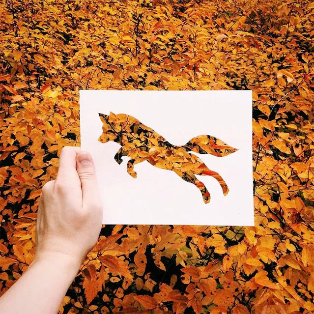 Animal Paper Silhouettes By Nikolai Tolstyh
