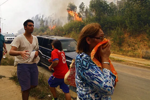 People react to the advancement of a forest fire in Hualañe, a community in Concepcion, Chile, Wednesday, January 25, 2017. The worst forest fires in Chile's history were uncontrolled on Wednesday, killing a firefighter and two policemen caught in the flames as they tried to help families in rural communities, authorities said. (Photo by Alejandro Zoñez/Aton via AP Photo)