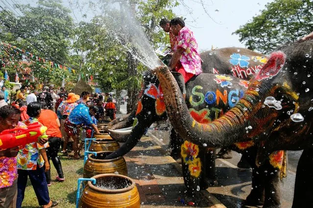 Elephants spray people with water in celebration of the Songkran water festival in Thailand's Ayutthaya province, north of Bangkok, April 11, 2016. (Photo by Jorge Silva/Reuters)