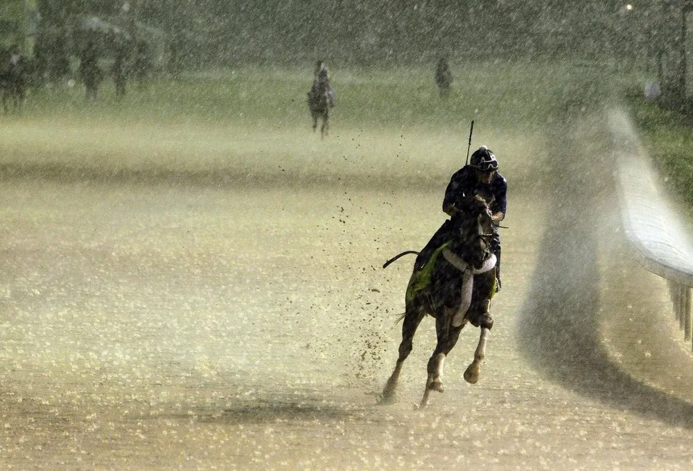 The Week in Pictures: Animals, April 27 – May 2, 2014