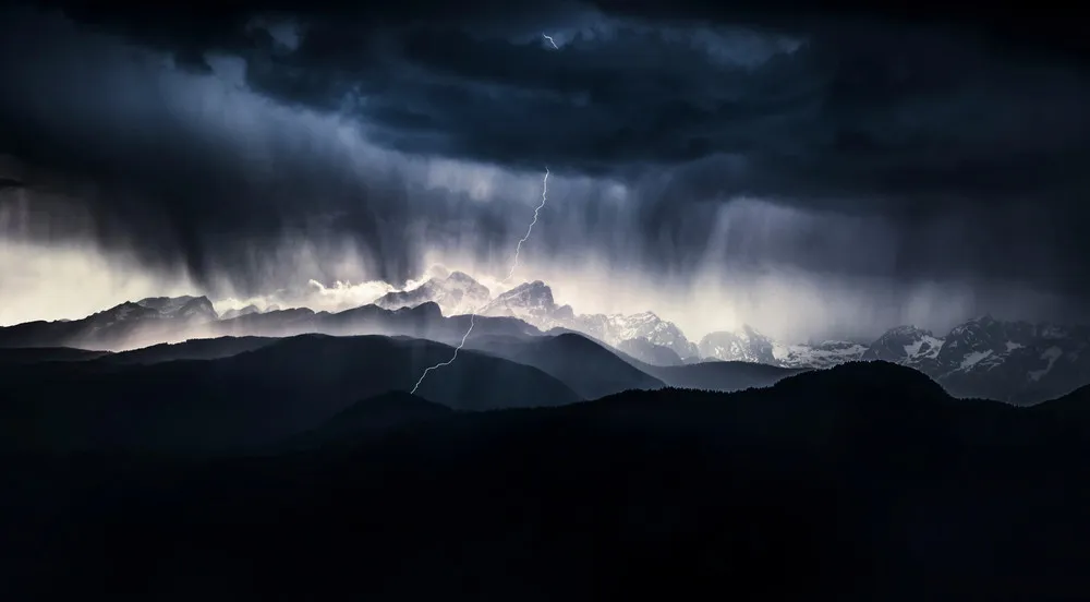 Nature Photographer of the Year 2019