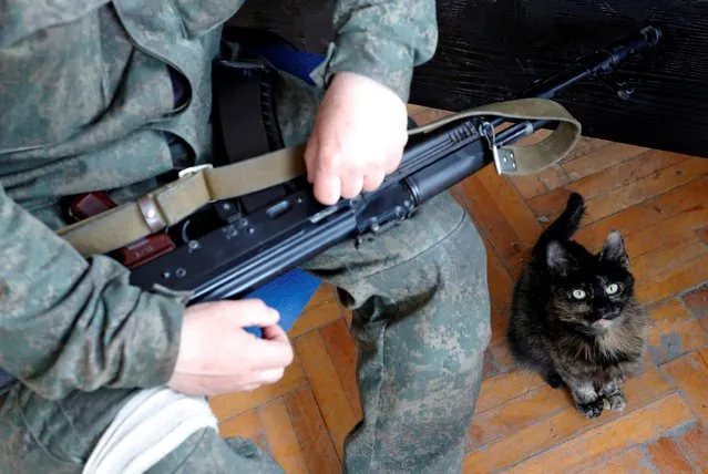 A cat sits next to a service member of pro-Russian troops at a fighting position near the Azovstal steel plant during Ukraine-Russia conflict in the southern port city of Mariupol, Ukraine on May 5, 2022. (Photo by Alexander Ermochenko/Reuters)