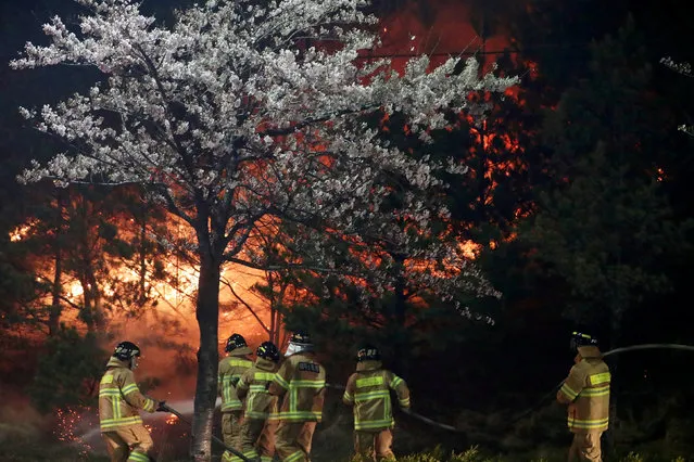Firefighters work to put out flames during a wildfire in Sokcho, South Korea, April 5, 2019. (Photo by Yonhap via Reuters)
