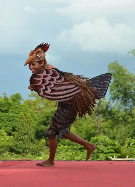 A Naga tribesman performs a “Chicken dance” during the Ao Naga Tsungremmong festival at Diphupar in Dimapur in the north eastern state of Nagaland on August 1, 2014. The Tsungremmong festival, celebrated by the Ao Nagas, is a thanksgiving festival invoking the blessing of God and an abundant harvest after the completion of seed sowing. (Photo by Caisii Mao/AFP Photo)