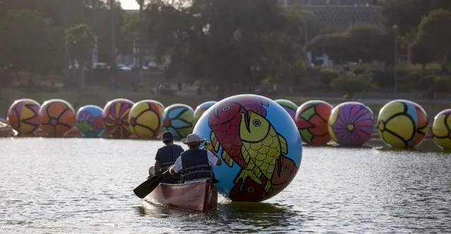 Volunteers transport an inflated sphere to be lowered in MacArthur Park Lake during the installation of Portraits of Hope's exhibition “Spheres at MacArthur Park” in Los Angeles, California August 21, 2015. (Photo by Mario Anzuoni/Reuters)
