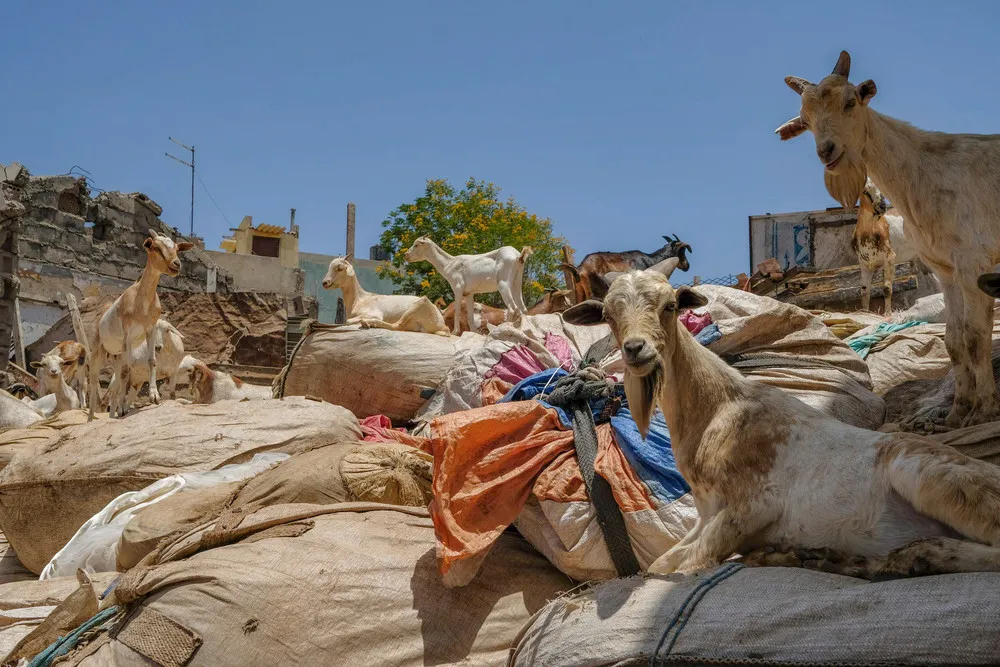 A Look at Life in Africa, Part 1/2