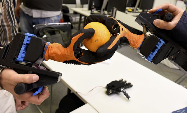 Two qbhands of the Italian company qbrobotics are pictured at the scientists congress IROS 2015 in Hamburg, October 2, 2015. The robot congress is organized by TAMS group (Technical Aspects of Multimodal Systems) of Hamburg's university. (Photo by Fabian Bimmer/Reuters)