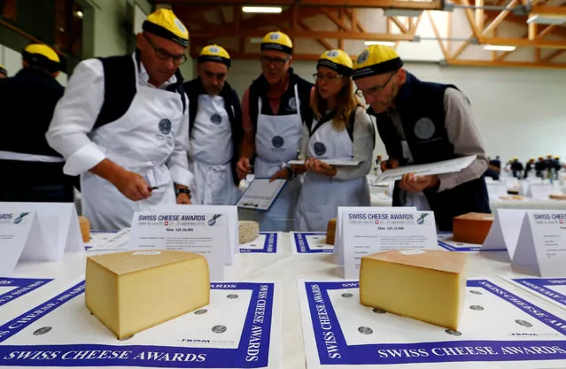 Judges inspect a piece of Vacherin cheese during the Swiss Cheese Awards competition in Le Sentier, Switzerland September 23, 2016. (Photo by Denis Balibouse/Reuters)