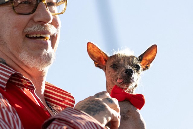 Dog named Prince competes at the annual World's Ugliest Dog Contest at the Sonoma-Marin Fair in Santa Rosa, California on August 8, 2025. (Photo by Carlos Barria/Reuters)