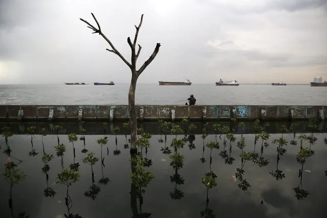 A man sits on top of a sea wall as he fishes at Muara Baru port in Jakarta, December 8, 2014. (Photo by Reuters/Beawiharta)
