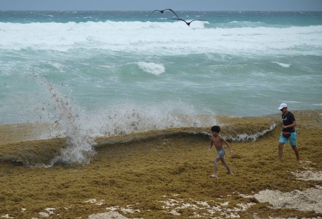 Tourists walk along a beach covered with sargassum seaweed during its season, in Cancun, Mexico, on June 4, 2025. (Photo by Paola Chiomante/Reuters)