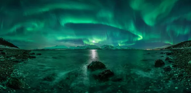 Aurora Panorama 3. The vivid green Northern Lights dance above Lyngenfjord, Norway, tracing out the shape of the Earth’s magnetic field above the waters. Green, the most common colour associated with aurorae, is produced by oxygen atoms and molecules energised by the impact of solar particles that have escaped the sun’s atmosphere, causing them to glow brightly. (Photo by Jan R. Olsen)