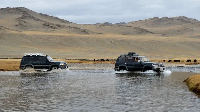 Land Cruisers drove through a river in western Mongolia. (Photo by Brad Ruoho/The Star Tribune)