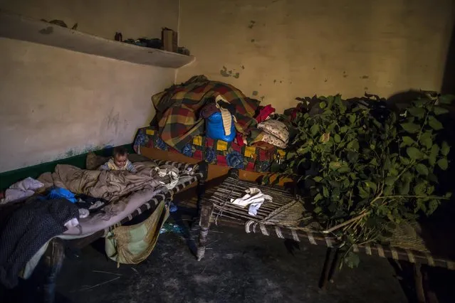 A boy is seen at his family home on Margalla Hills in Islamabad January 22, 2015. (Photo by Zohra Bensemra/Reuters)