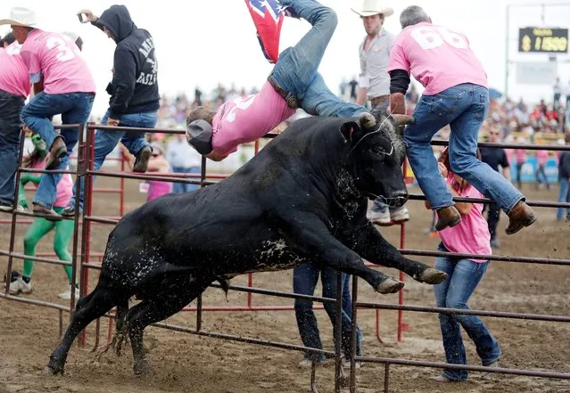 A participant gets thrown by a bull during the the 11th annual “Running with the Bulls” at the Strathmore Stampede in Strathmore, Canada, Sunday, August 4, 2013. (Photo by Jeff McIntosh/AP Photo/The Canadian Press)