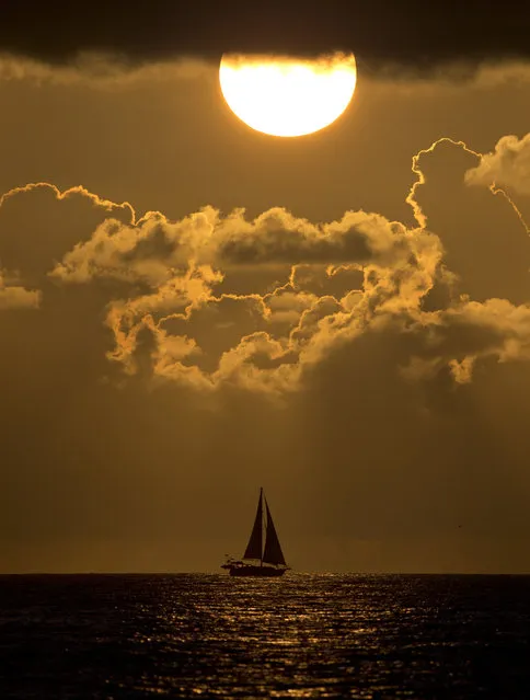A sailboat is silhouetted by the rising sun, Friday, November 13, 2015, as it passes by the coast of Surfside, Fla. (Photo by Wilfredo Lee/AP Photo)