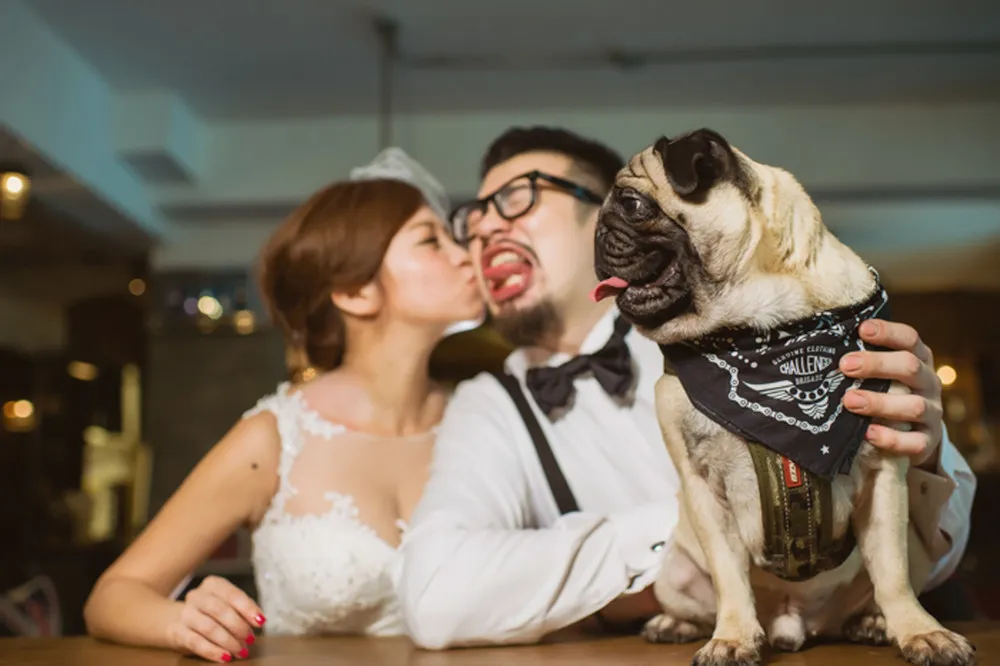 Funniest Wedding Photos of 2015