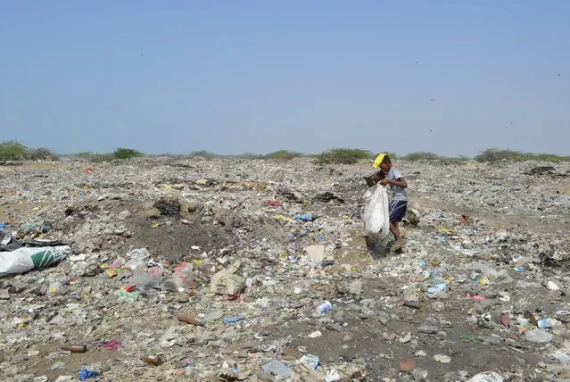 A boy collects recyclable waste at a rubbish dump outside Yemen's Red Sea port city of Houdieda January 19, 2016. (Photo by Abduljabbar Zeyad/Reuters)