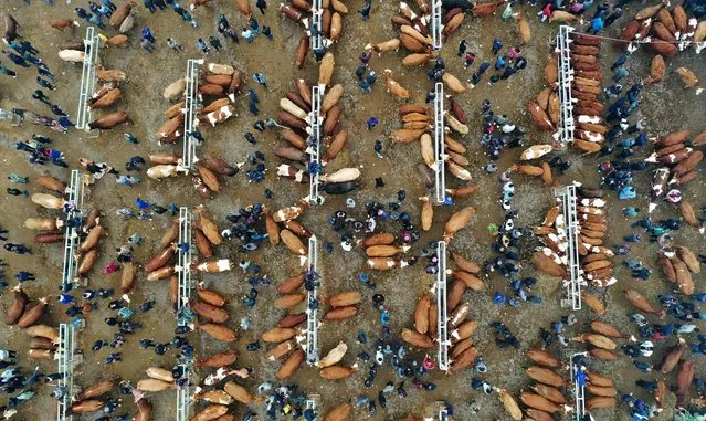 This aerial photo shows people visiting a livestock market in Qianxinan Buyei and Miao Autonomous Prefecture, in China's southwestern Guizhou Province on November 14, 2023. (Photo by AFP Photo/China Stringer Network)