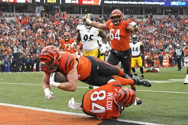 Cincinnati Bengals tight end Drew Sample, left, collides with Mitchell Wilcox (84) as he leaps into the end zone for a touchdown during the first half of an NFL football game against the Pittsburgh Steelers in Cincinnati, Sunday, November 26, 2023. (Photo by Carolyn Kaster/AP Photo)