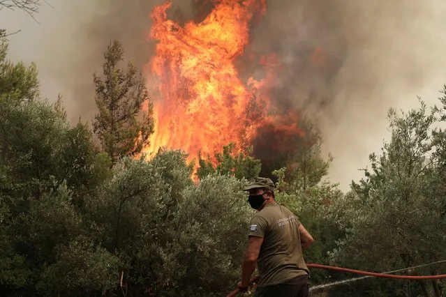 A firefighter tries to extinguish a fire in the village of Avgaria, on the island of Evia, Greece, August 10, 2021. (Photo by Stelios Misinas/Reuters)