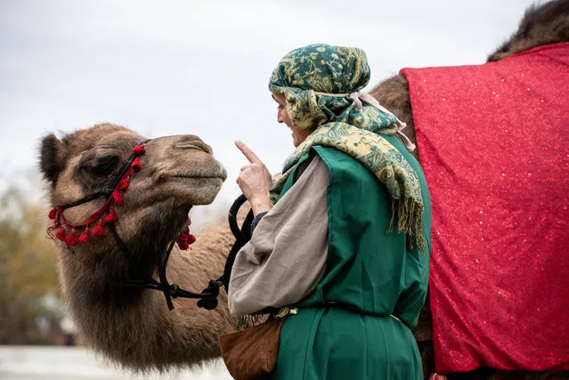 Delilah the camel is admonished by her handler for demanding treats during a living nativity on December 7, 2023 in Washington. Members of Faith & Liberty staged the event, complete with animals, in front of the Supreme Court just over two weeks before Christmas. (Photo by Allison Bailey/NurPhoto/Rex Features/Shutterstock)