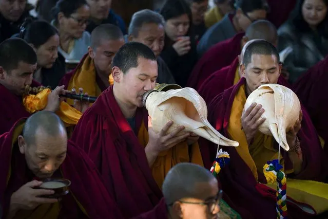 Exile Tibetan Buddhist monks blow ceremonial conch shells during an early morning prayer session to mark the first day of the Lunar New Year at the Tsuglakhang temple in Dharamshala, India, Saturday, February 10, 2024. (Photo by Ashwini Bhatia/AP Photo)