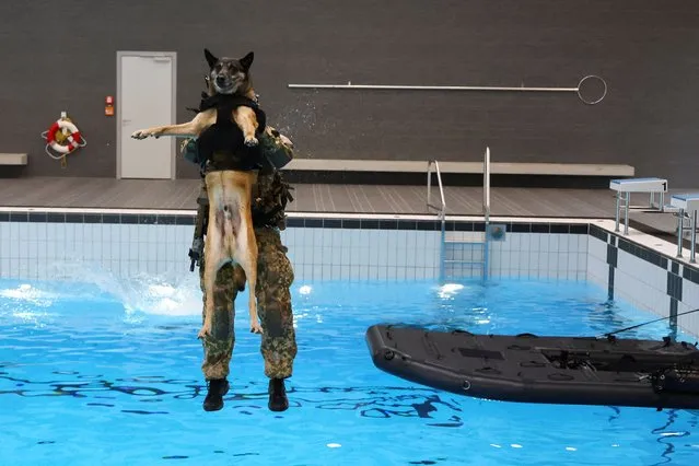 A member of forces command Kommando Spezialkraefte (KSK) of the German army Bundeswehr jumps with a dog into the water during training in Calw, Germany, on March 5, 2024. (Photo by Wolfgang Rattay/Reuters)