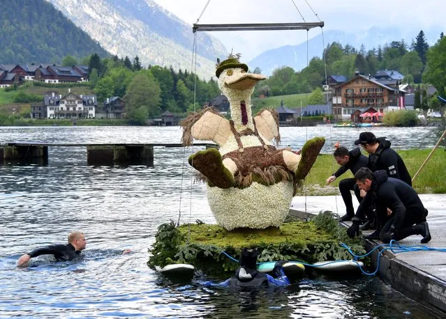 A boat carrying a figure made of white narcissi is prepared for the 61st daffodils festival in the Ausseerland region, Grundlsee, Austria on May 30, 2021. (Photo by Barbara Gindl/APA/AFP Photo)
