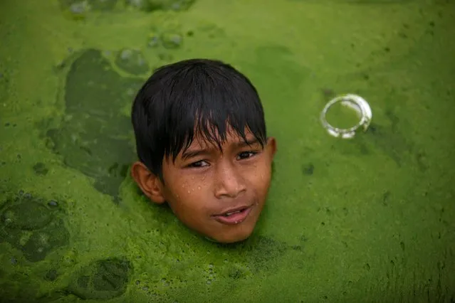 A boy swims on a pond covered with algae in Bhaktapur, Nepal, July 9, 2019. (Photo by Monika Deupala/Reuters)