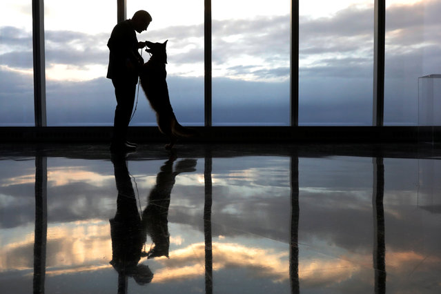 Rumor, a German shepherd and winner of Best In Show at the 141st Westminster Kennel Club Dog Show, accepts a treat from his handler, Kent Boyles during a visit to One World Observatory atop One World Trade Center in New York, U.S., February 15, 2017. (Photo by Brendan McDermid/Reuters)